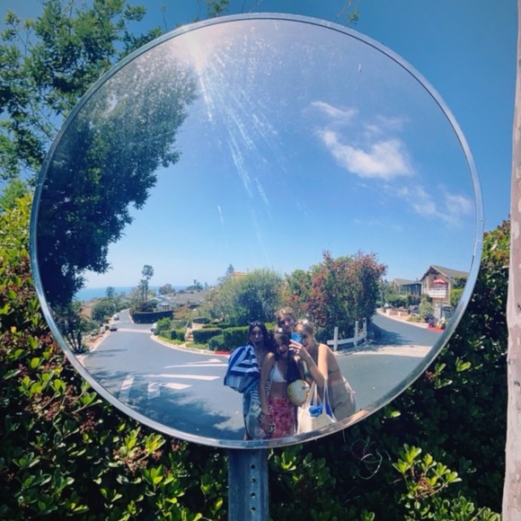 Meet your Posher, Coco - Picture 1 of 1